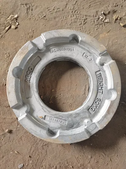 Iron Casting-Precision Casting Impeller Wheel (HS-PC-004)